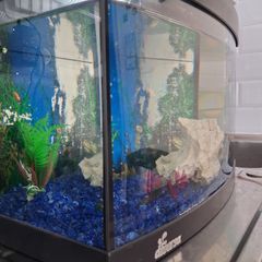 Fish tank