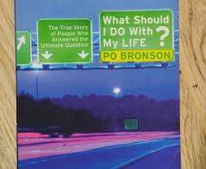 What Should I Do with My Life?: The True Story of People Who Answered the Ultimate Question by Po Bronson
