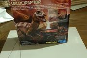 Dig a dinosaur kit