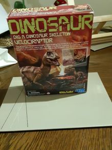 Dig a dinosaur kit