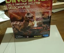 Dig a dinosaur kit