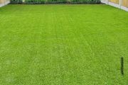 artificial grass