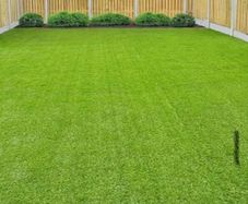 artificial grass