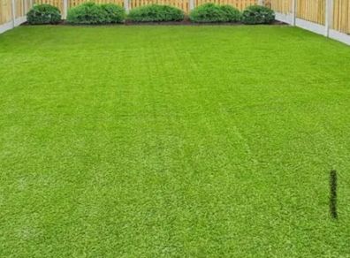 artificial grass