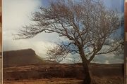 Ireland's Wild Countryside by Eamon de Buitlear