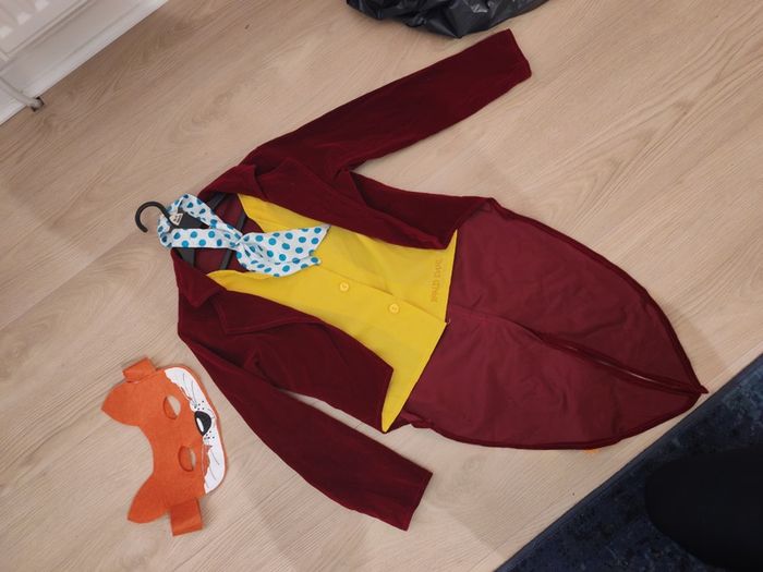 Halloween costumes  Mr Fox