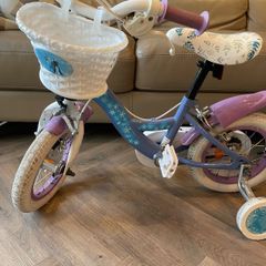 Bike Frozen