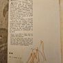 Scothscealta. By Padraic O Conaire.  Edited by THOMAS DE BHALDRAITHE. Paperback In Good Condition. See Photos For Same. Image 8