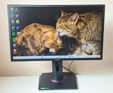 Asus VG248QG 24" G-Sync Compatible Gaming Monitor 165Hz Full HD 1080P 0.5ms DP