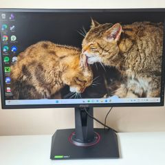 Asus VG248QG 24" G-Sync Compatible Gaming Monitor 165Hz Full HD 1080P 0.5ms DP
