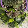 Otdoor plant Image 3