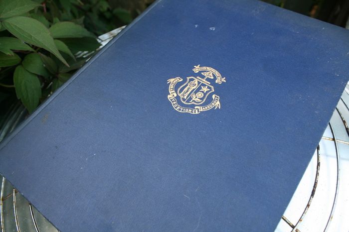 Vintage O Farrelly Leabhar an Athar Eoghan, OGrowney Memorial Vol c1904