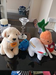 A selection of toy teddy's