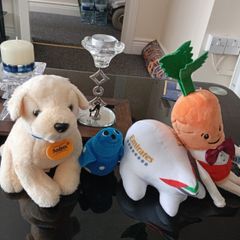 A selection of toy teddy's
