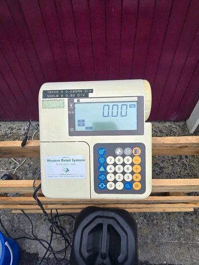 Platform Scales