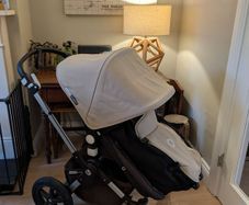 Bugaboo chameleon