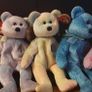Collection of Pastel Coloured Beanie Bears Image 3