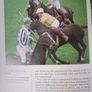 The World of The Irish Horse / 1992 Image 6