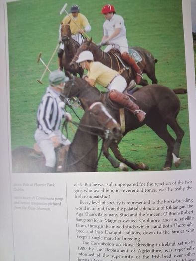 The World of The Irish Horse / 1992