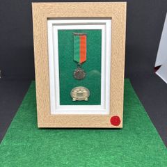 1916 Easter Rising miniature medal