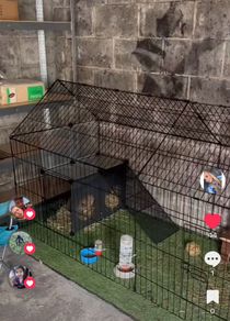 rabbit/ rabbit equipment
