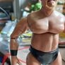 2000 Jakks Pacific WWE WWF Rakishi Action Figure Image 4