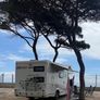Motorhome Image 3