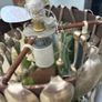 Chandeliers / Spoondeliers Image 6