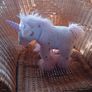 Build - A - Bear Image 5