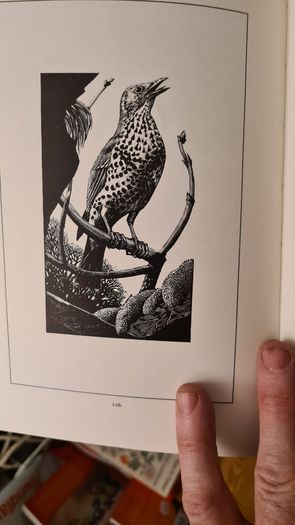 The Peverel Papers By Floral Thompson. A Yearbook Of The Countryside Hardback With Dustjacket In Very Good Condition.