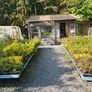 Plants, Flowering Shrubs, Grasses Image 7
