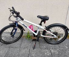 Frog 52 (20 inch) Kids bike