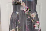 Ted Baker dress