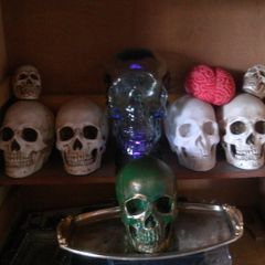 Skulls