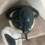 car buffer Image 5