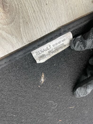 2015 Renault Clio Genuine Car Mats