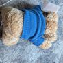 British airways bear Image 6