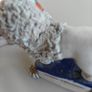 Vintage pair of 19th century small  Staffordshire poodles porcelain figures Image 7
