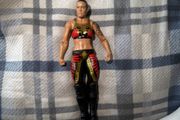 wwe figure