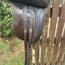equestrian Image 3