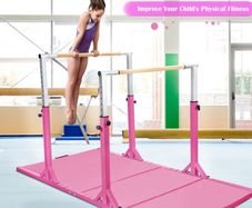 Double gymnastics bars