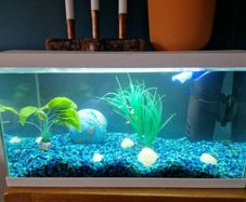 Ciano 60-Litre Fish Tank