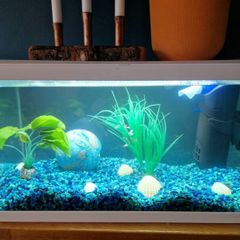 Ciano 60-Litre Fish Tank