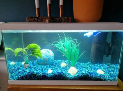 Ciano 60-Litre Fish Tank