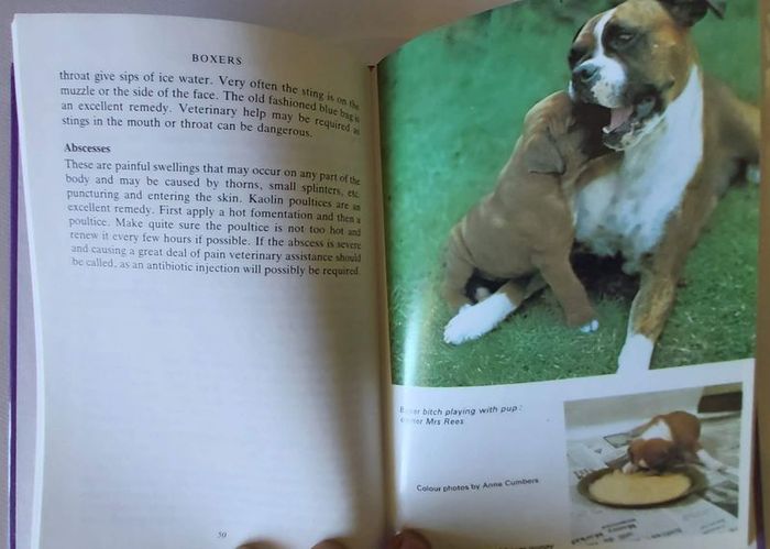 Boxer Dog Book (Incl P+P)
