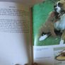 Boxer Dog Book (Incl P+P) Image 3