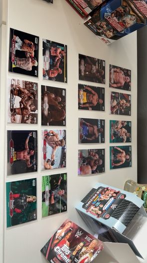 UFC Topps trading cards