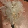 Champagne colour hair clip Image 4