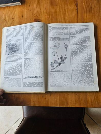 The Irish Wildlife Book. Edited By Fergus O'gorman. Illustrated By Gerrit Van Gelderen, Eamon De Buitlear And Richard Mills. First Edition Large Volume Hardback In Good Condition.