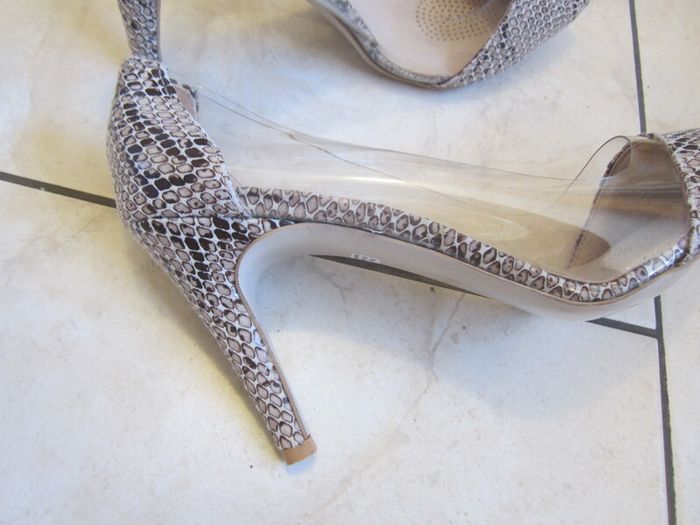 REPTILE colour    size 7